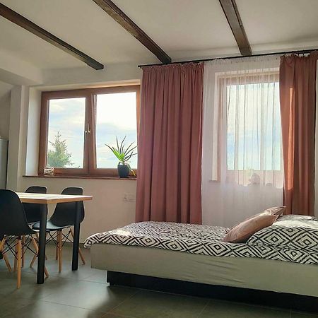 Apartamenty U Anety Wilkasy Exteriér fotografie